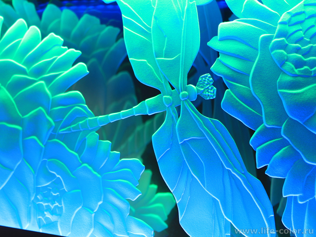 ������� �� ������ � ���������� � 3D ��������